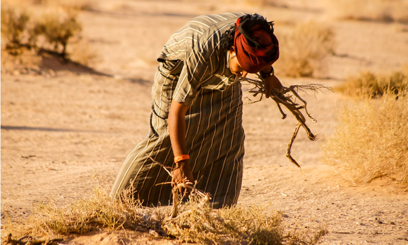 Ready Steady Travel - Real Bedouin Experience Tours Review