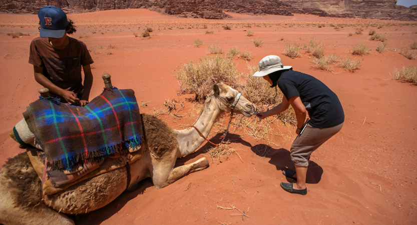 Ready Steady Travel - Adventures in Jordan Wadi Rum