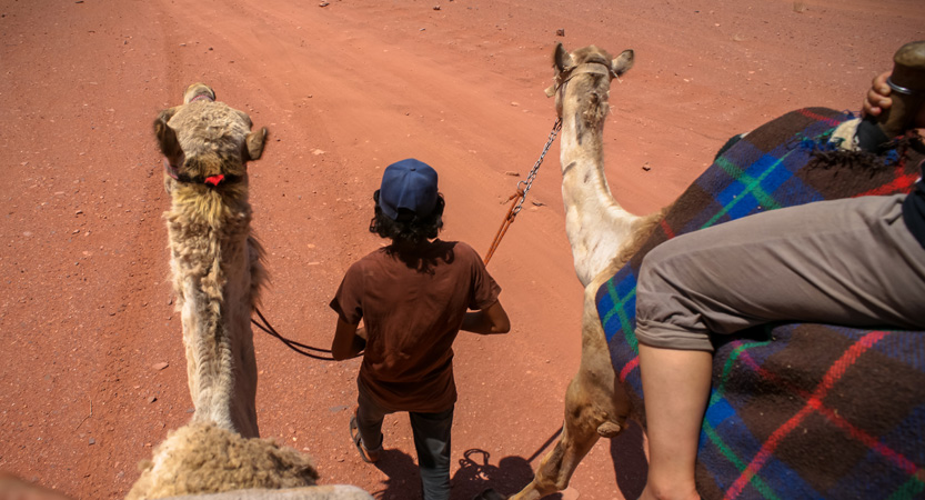 Ready Steady Travel - Real Bedouin Experience Tours Review