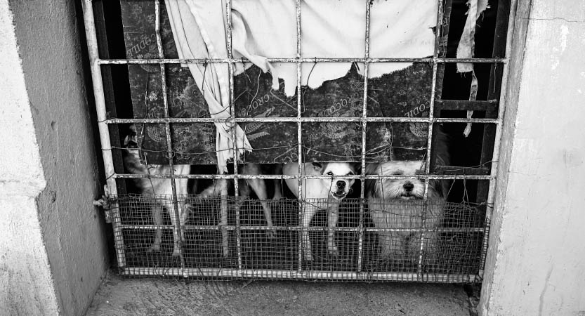 Ready Steady Travel - Adventures in The Philippines, Laoag: Review B 1 Red Light District