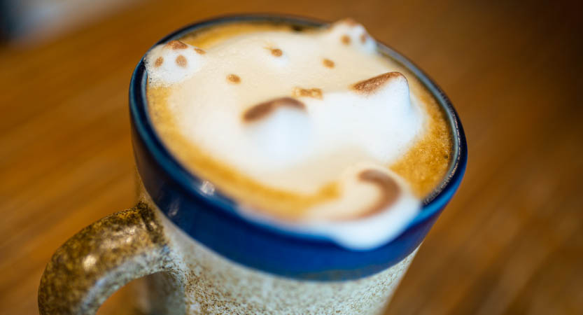 Ready Steady Travel - Adventures in The Philippines, Manila: Cafe Review Commune