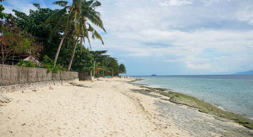 Ready Steady Travel - Adventures in The Philippines, Moalboal Cebu; Central Visayas