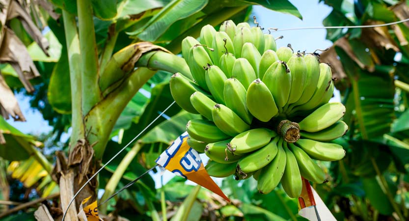 Ready Steady Travel - Adventures in The Philippines, Moalboal Cebu; Central Visayas