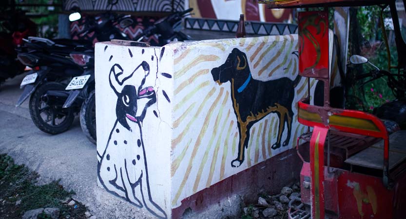 Ready Steady Travel - Adventures in The Philippines, Moalboal Cebu; Central Visayas