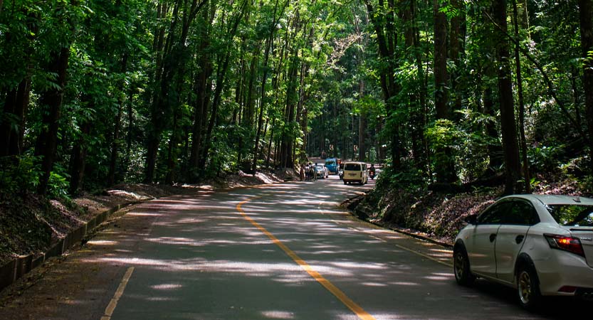 Ready Steady Travel - Adventures in The Philippines, Bohol Island; Central Visayas