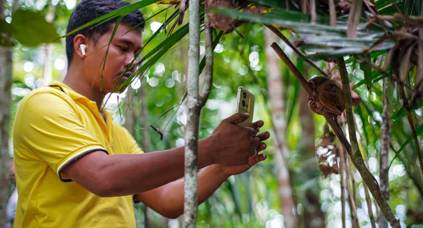 Ready Steady Travel - Adventures in The Philippines, Bohol Island; Central Visayas